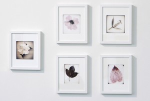 Serie: String of Life. Medium: Photography Artist: Pernilla Persson ©Pernilla Persson 2012