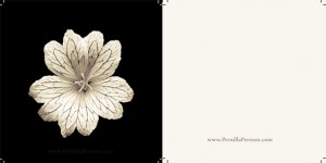 4x4 cards printed on kraft paper