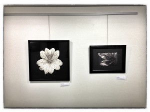 art up on the wall