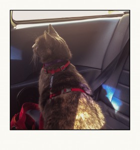 on her way