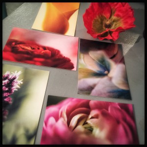 Postcards for sale at this years Open Studio :) 