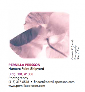 Artspan Catalog image invitation to my studio this fall.