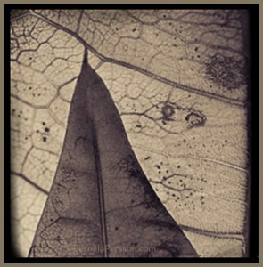 A close up of some of my new work.