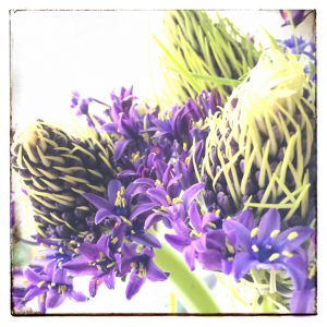 Still Life in my studio ©PernillaPersson.com 2016