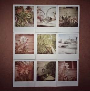 Polaroid fun in my studio garden ©PernillaPersson.com 2016