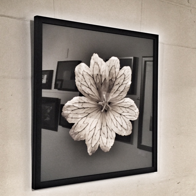 Art within art in my studio today! ©www.PernillaPersson.com 2016