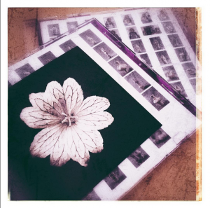 CDs are still an option when delivering images ©PernillaPersson.com