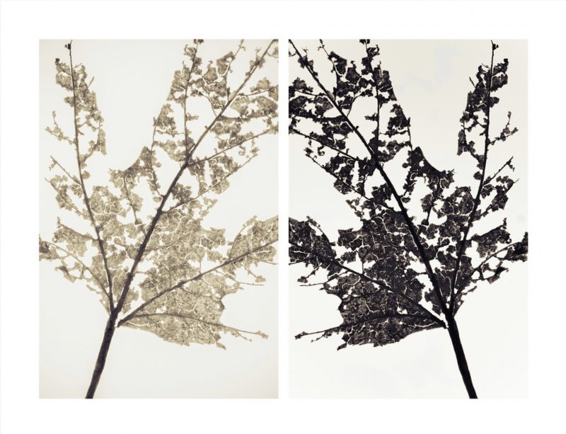 Sun & Moon | Series; String of Life by ©PernillaPersson.com