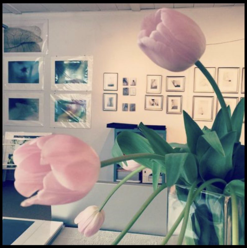 Welcome to my spring open studio this weekend.