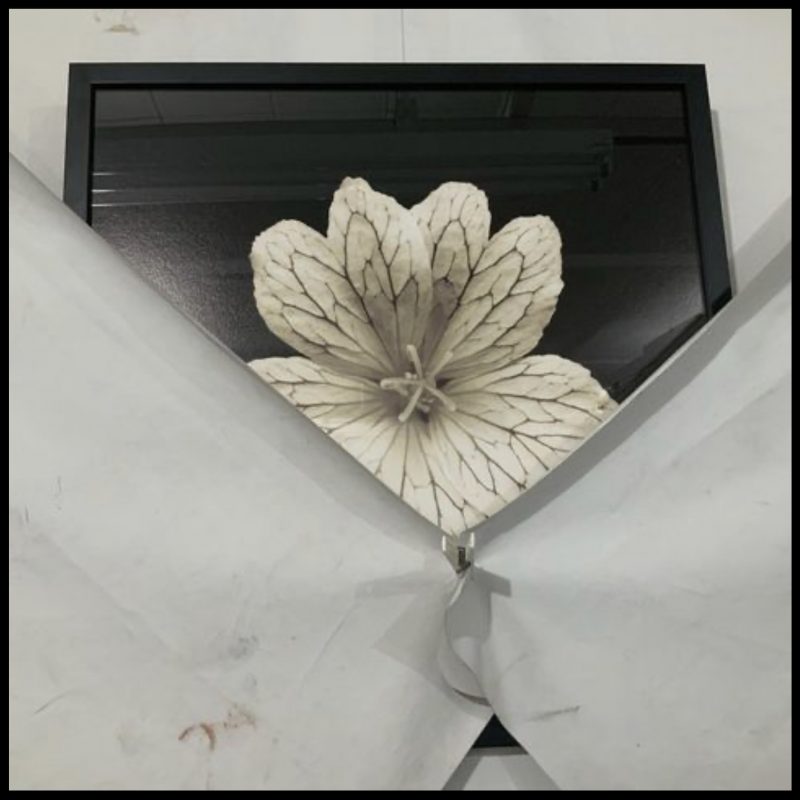 Unwrapping of ‘Summer Blossom’  |  Seasons of Light  |  ©PernillaPersson.com 